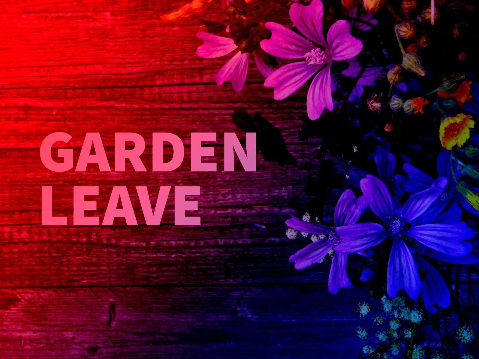 What Is Garden Leave Gardening